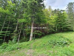 Teren intravilan de vanzare in Sinaia - Zona Furnica