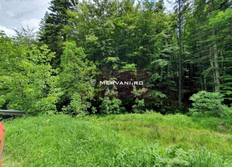 Teren intravilan de vanzare in Sinaia - Zona Furnica