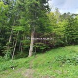 Teren intravilan de vanzare in Sinaia - Zona Furnica